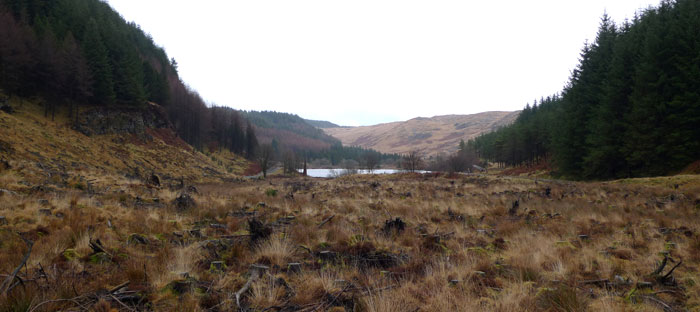Black_Loch_spikew Black_Loch_spikew