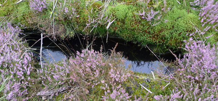 silent_hole_drainage silent_hole_drainage